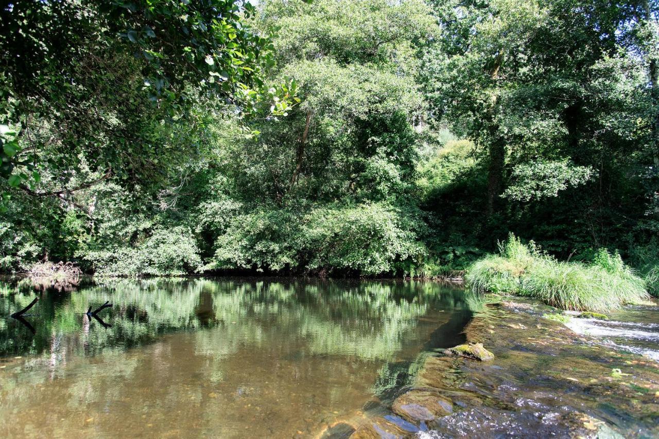 Neiva River House - Azenha Next To The River Esposende Eksteriør billede